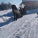 Gosciniec Dziubasowki ノヴィ・タルク