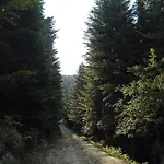 Gosciniec Dziubasowki *