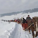 Gosciniec Dziubasowki シャレー