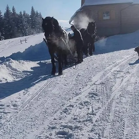 Gosciniec Dziubasowki Nowy Targ