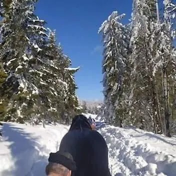 Chalet Gosciniec Dziubasowki *