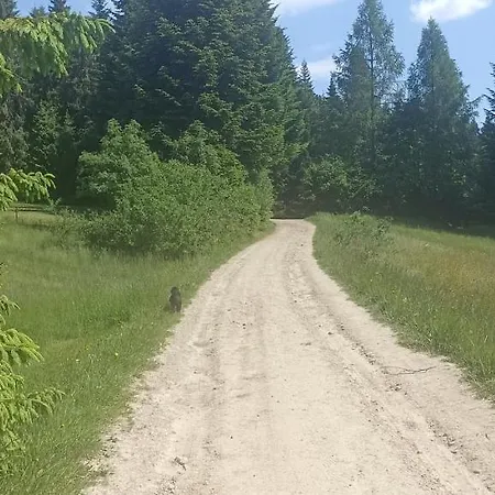 Gosciniec Dziubasowki