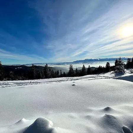 Gosciniec Dziubasowki Chalet Nowy Targ