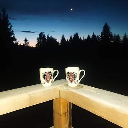 Gosciniec Dziubasowki