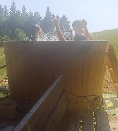 Gosciniec Dziubasowki