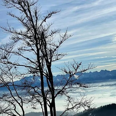 Gosciniec Dziubasowki Chalet