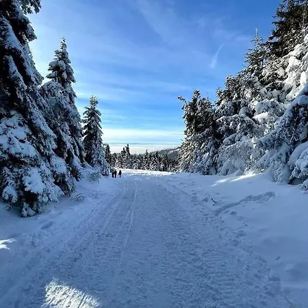 Gosciniec Dziubasowki * Nowy Targ