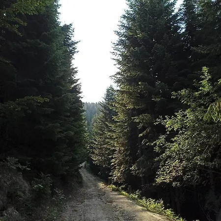 Gosciniec Dziubasowki *