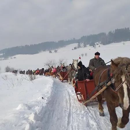 Gosciniec Dziubasowki Chalet