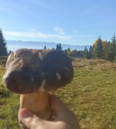 Шале Gosciniec Dziubasowki Новий Тарг