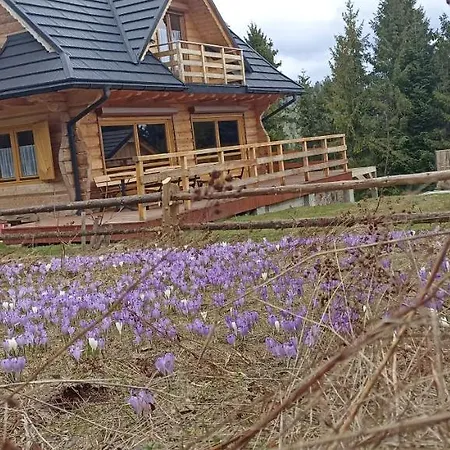 Gosciniec Dziubasowki Nowy Targ