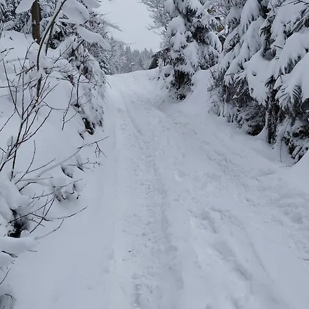 Gosciniec Dziubasowki Chalet *