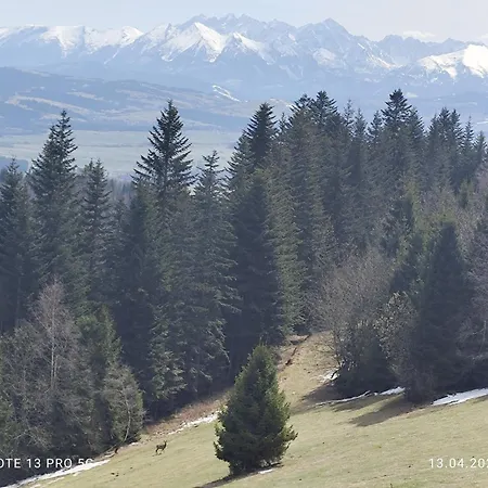 Gosciniec Dziubasowki Chalet Nowy Targ