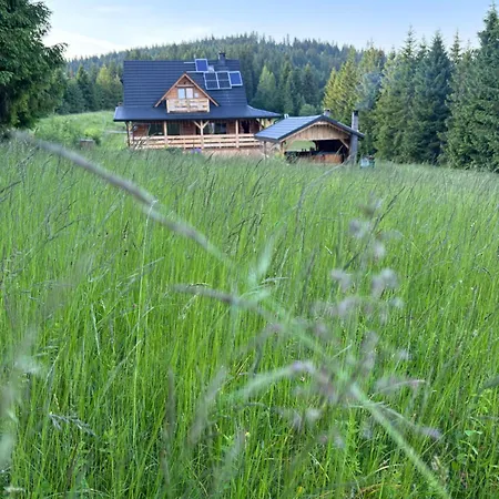 Gosciniec Dziubasowki Chalet Nowy Targ