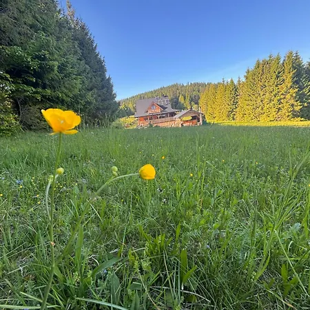 Gosciniec Dziubasowki Chalet *