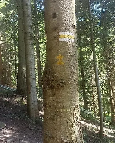 Gosciniec Dziubasowki Dağ evi