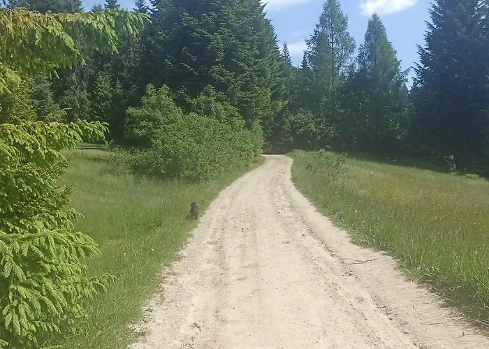 Gosciniec Dziubasowki