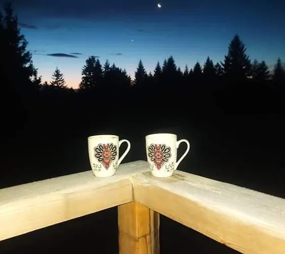 Gosciniec Dziubasowki