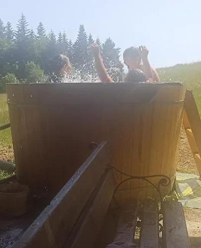 Gosciniec Dziubasowki