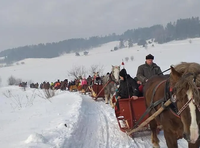 Gosciniec Dziubasowki Dağ evi