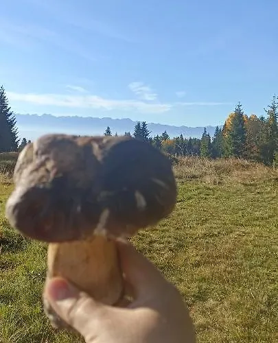 Dağ evi Gosciniec Dziubasowki Nowy Targ