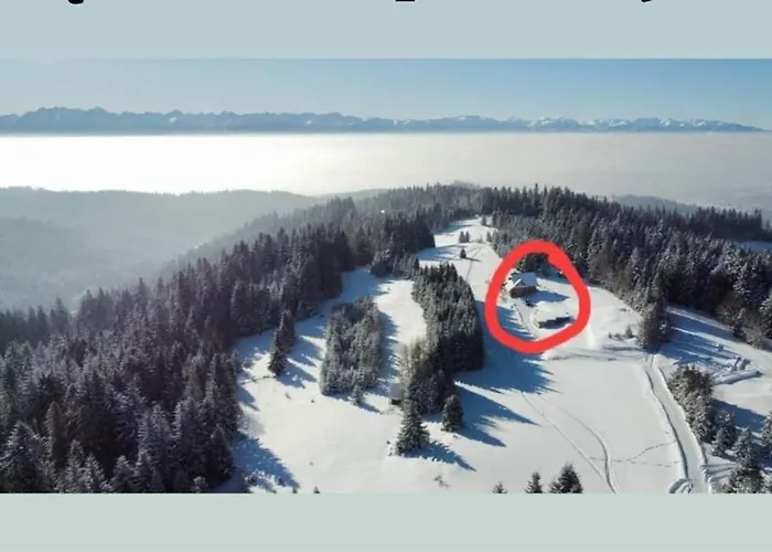 Dağ evi Gosciniec Dziubasowki