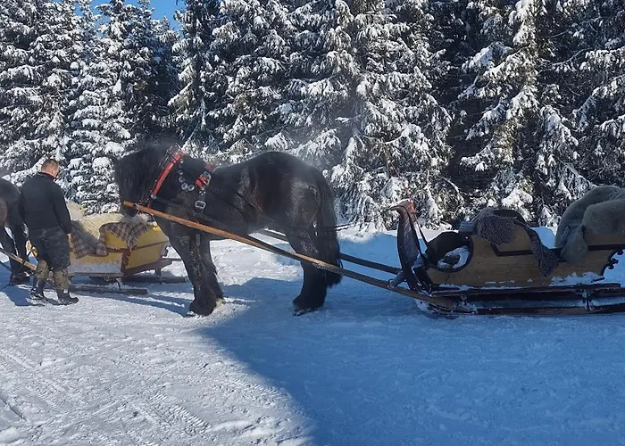Dağ evi Gosciniec Dziubasowki Nowy Targ