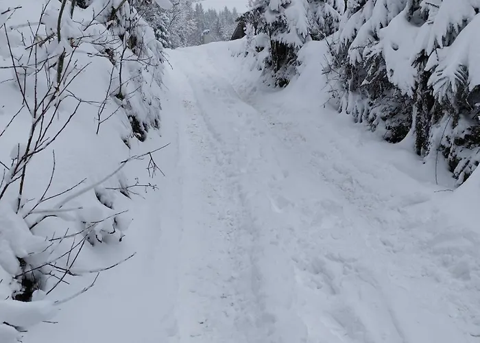 Gosciniec Dziubasowki Dağ evi *
