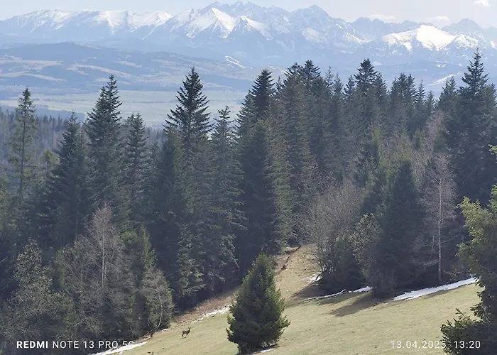 Gosciniec Dziubasowki Dağ evi Nowy Targ